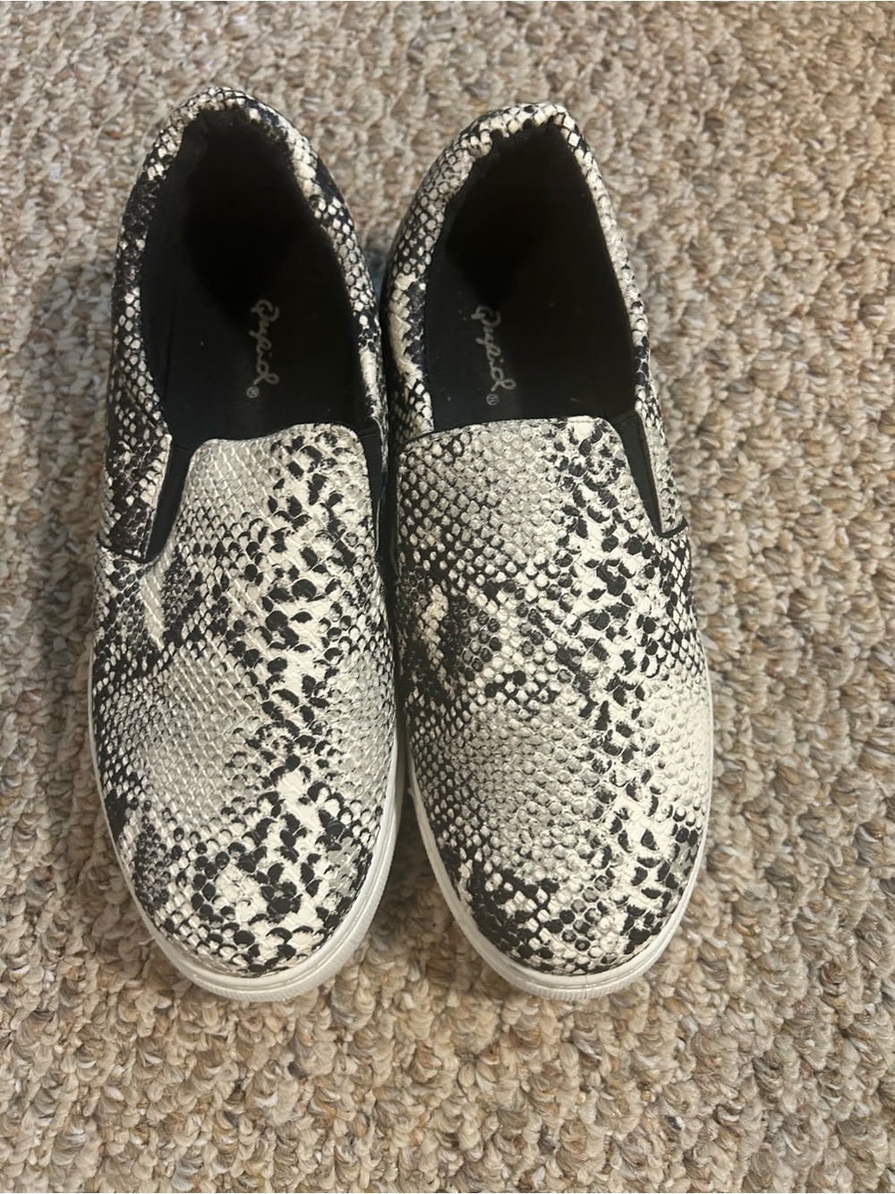 Qupid Snake Print Slip-On Sneakers in Black and White